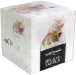 Promo cube Innamoramento